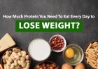 How Much Protein You Need To Eat Every Day To Lose Weight?