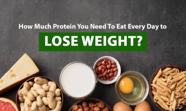 How Much Protein You Need To Eat Every Day To Lose Weight?