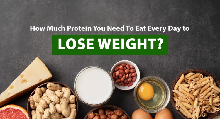 How Much Protein You Need To Eat Every Day To Lose Weight?